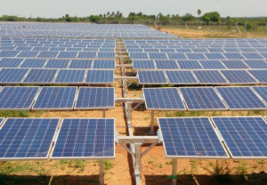 an-do-dua-vao-van-hanh-nha-may-dien-mat-troi-cong-suat-750-mw-3