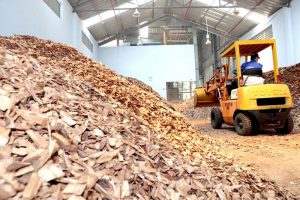 Tiềm năng lớn, vì sao điện sinh khối vẫn chưa thu hút nhà đầu tư?